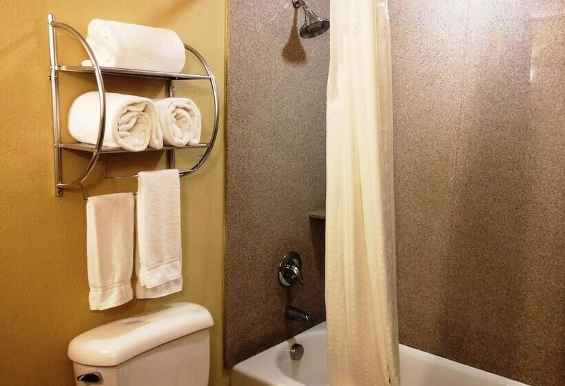 Номер Стандарт, Holiday Inn Express Hotel & Suites Waller, An Ihg