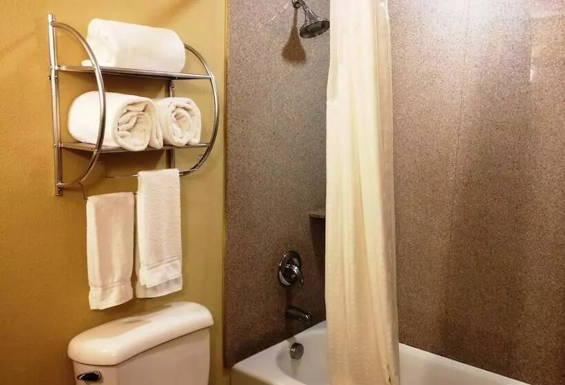 Standard-huone, Holiday Inn Express & Suites Waller - Prairie View by IHG