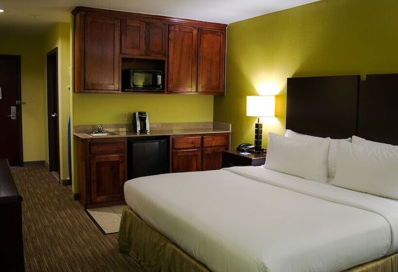 غرفة قياسية, Holiday Inn Express Hotel & Suites Waller, An Ihg