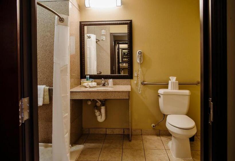 חדר סטנדרט מותאם לאדם עם מוגבלויות, Holiday Inn Express Hotel & Suites Waller, An Ihg