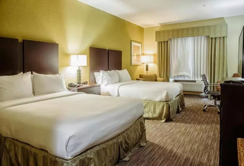 Standard-invahuone, Holiday Inn Express & Suites Waller - Prairie View by IHG