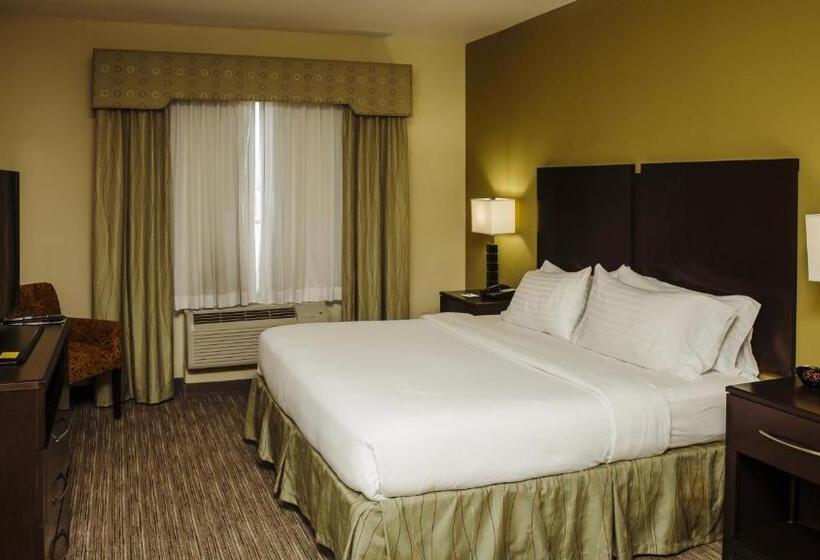 חדר סטנדרט עם מיטת קינג, Holiday Inn Express Hotel & Suites Waller, An Ihg