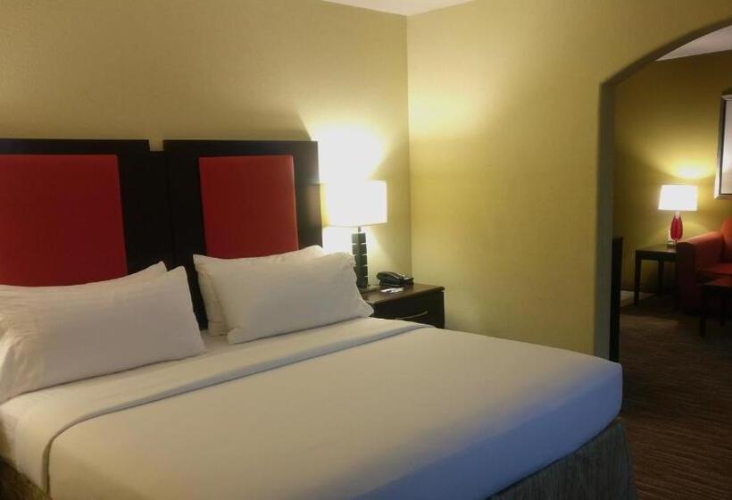 חדר סטנדרט, מיטת קינג, מותאם לאדם עם מוגבלויות, Holiday Inn Express Hotel & Suites Waller, An Ihg