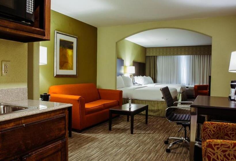 جناح ديلوكس, Holiday Inn Express Hotel & Suites Waller, An Ihg