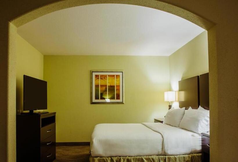 جناح لذوى الاحتياجات الخاصة, Holiday Inn Express Hotel & Suites Waller, An Ihg