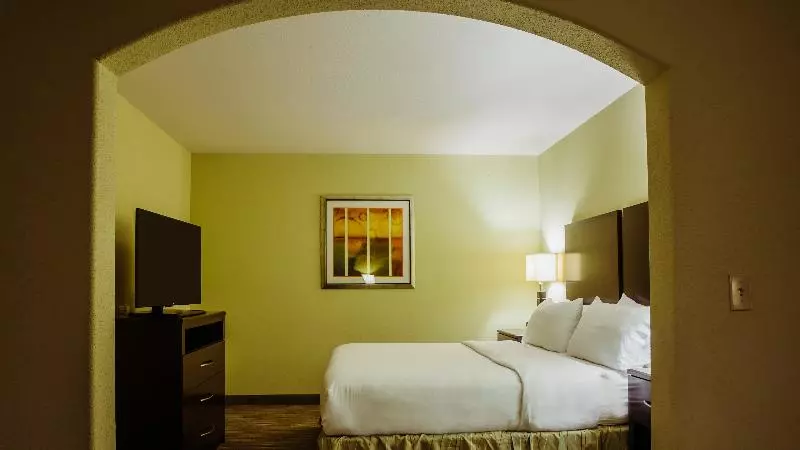 Standard-huone King-vuode, Holiday Inn Express & Suites Waller - Prairie View by IHG