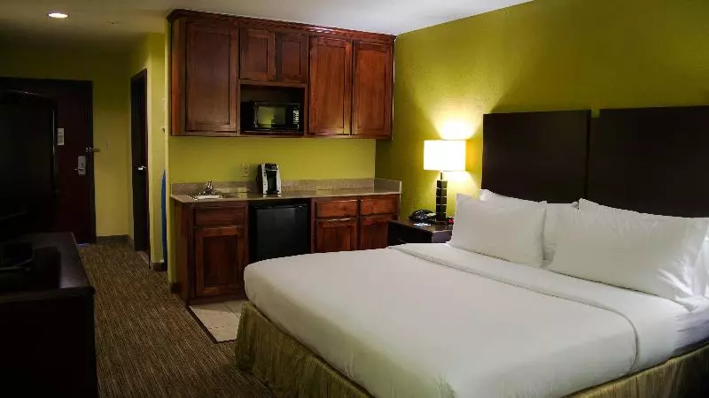 Sviitti King-vuode, Holiday Inn Express & Suites Waller - Prairie View by IHG