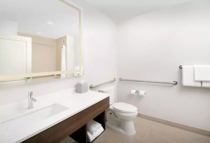 身障者適用キングサイズベッドルーム, Holiday Inn Express Jacksonville Beach, An Ihg