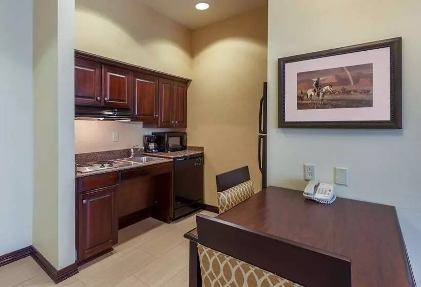 استودیوی استاندارد با تخت دوبل, Homewood Suites By Hilton Wichita Falls