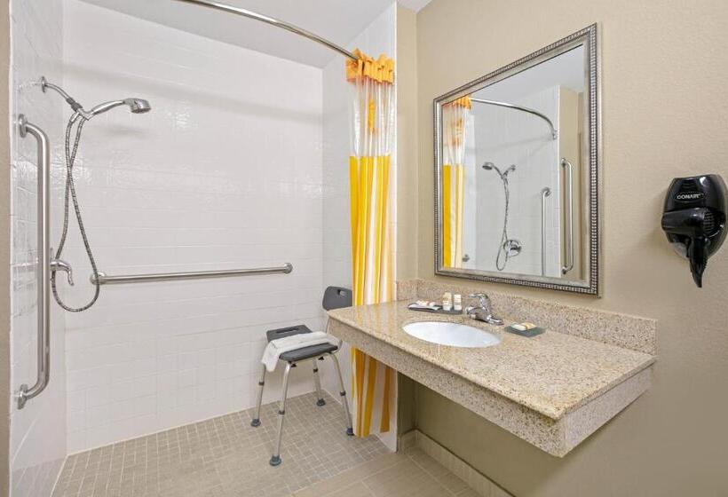 Номер Стандарт Адаптированный для Инвалидов, La Quinta Inn & Suites By Wyndham Paris