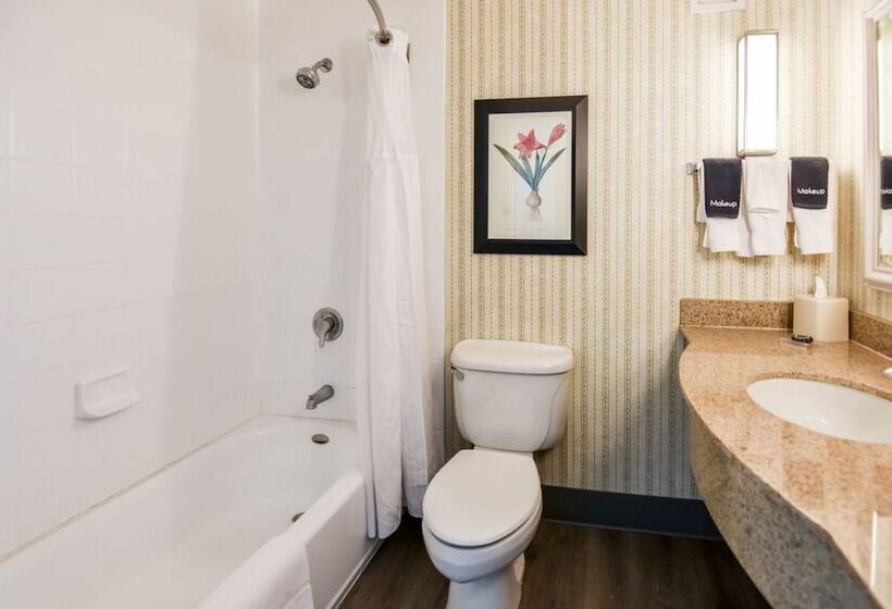 חדר סטנדרט שתי מיטות זוגיות, Shutters