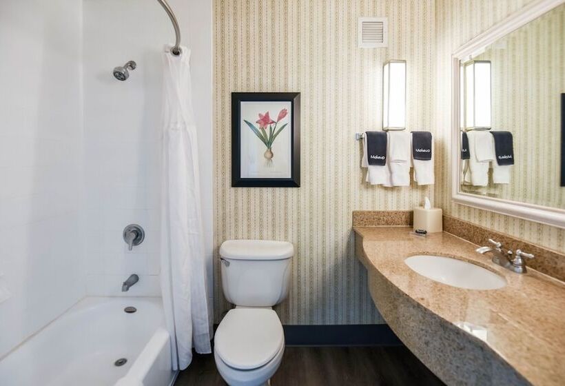 חדר סטנדרט שתי מיטות זוגיות, Shutters