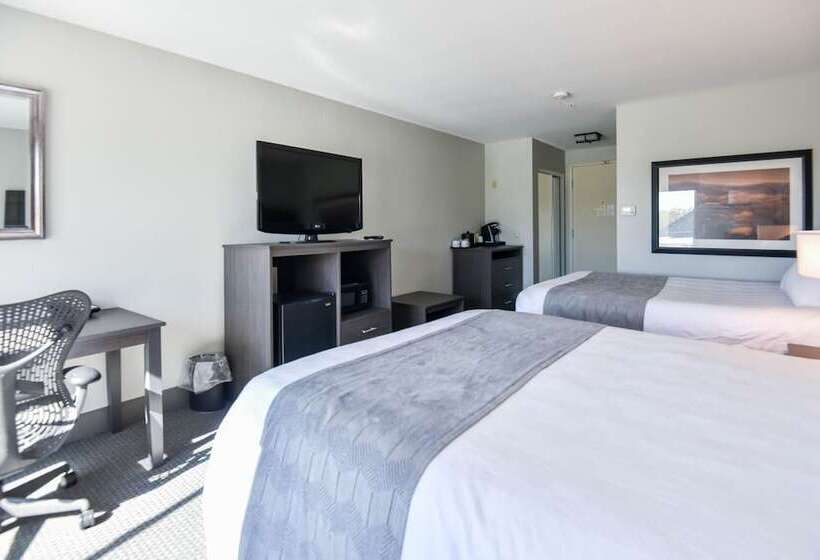 חדר סטנדרט שתי מיטות זוגיות, Shutters