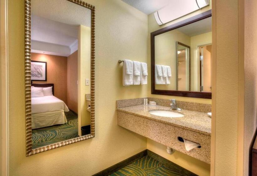 带大床的标准工作室, Springhill Suites By Marriott   Tampa Brandon