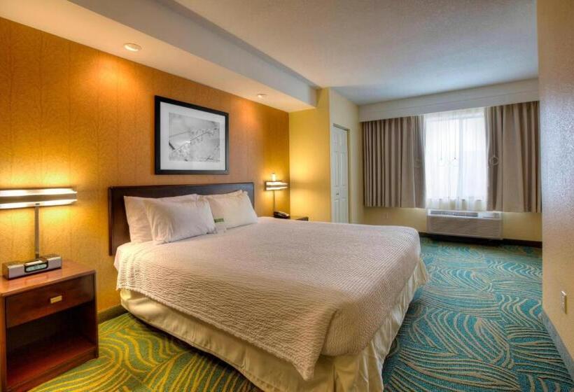 带大床的标准工作室, Springhill Suites By Marriott   Tampa Brandon