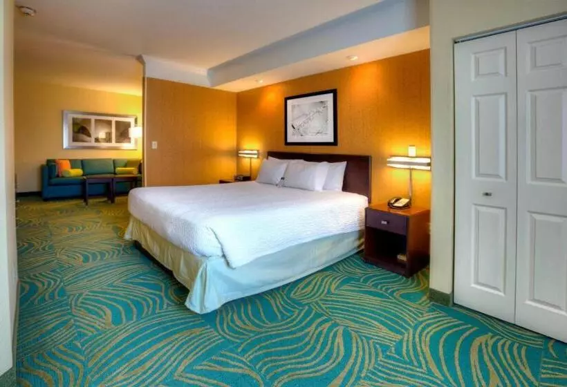 キングサイドベッドのスタンダードワンルーム, Springhill Suites By Marriott   Tampa Brandon