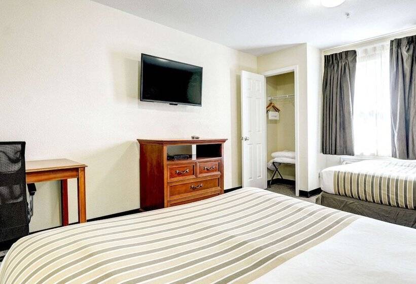 غرفه قياسيه سريرين مزدوجين, Suburban Studios Westminster Denver North