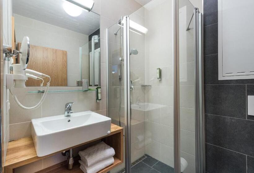 스탠다드 발코니 룸, Alpenparks Hotel & Apartment Central Zell Am See