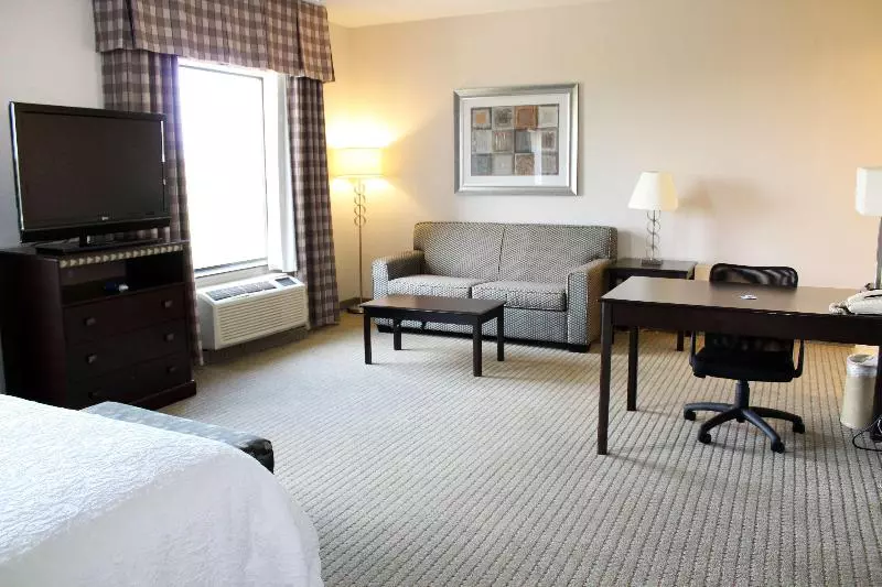 Standard-studio King-vuode, Hampton Inn & Suites Mount Pleasant
