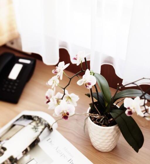 غرفة كومفورت فردية, Burgmeier