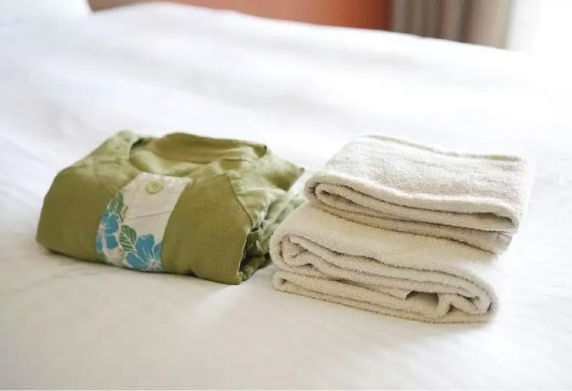 スパアクセス付スタンダードルーム, Em Wellness Kurashino Hakko Lifestyle Resort