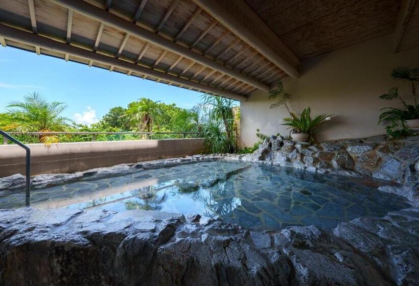 Номер Стандарт Вид на Сад, Grandvrioresort Ishigakijima Ocean S Wing & Villa Garden