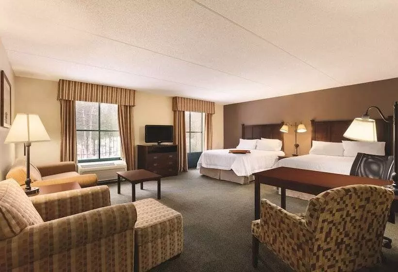 スタンダードスタジオ, Hampton Inn & Suites Lake George