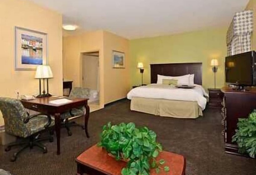 标准工作室, Hampton Inn & Suites Nacogdoches