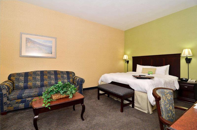 带大床的标准工作室, Hampton Inn & Suites Nacogdoches