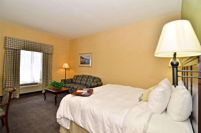 带大床的标准工作室, Hampton Inn & Suites Nacogdoches