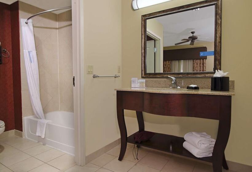 Студио Стандарт Кровать Кинг, Hampton Inn & Suites Conroe I45 North