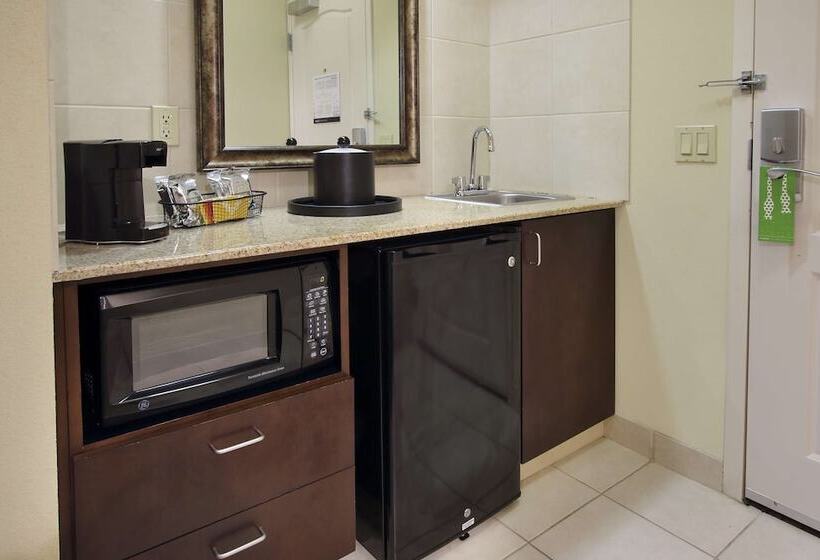Студио Стандарт Кровать Кинг, Hampton Inn & Suites Conroe  I45 North