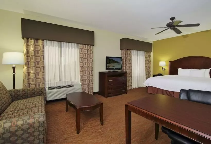 キングサイドベッドのスタンダードワンルーム, Hampton Inn & Suites Conroe  I45 North