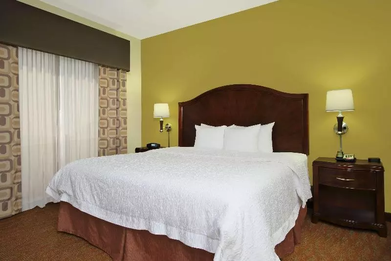 キングサイズベッドのスタンダードルーム, Hampton Inn & Suites Conroe  I45 North