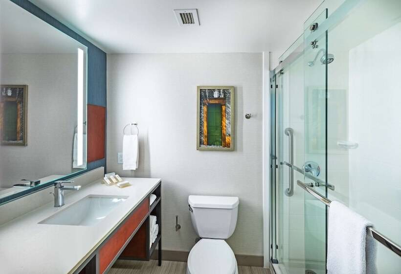 جناح جونيور, Hilton Garden Inn Houston/sugar Land