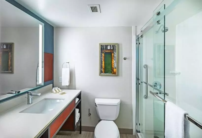 ジュニアスイート, Hilton Garden Inn Houston/sugar Land