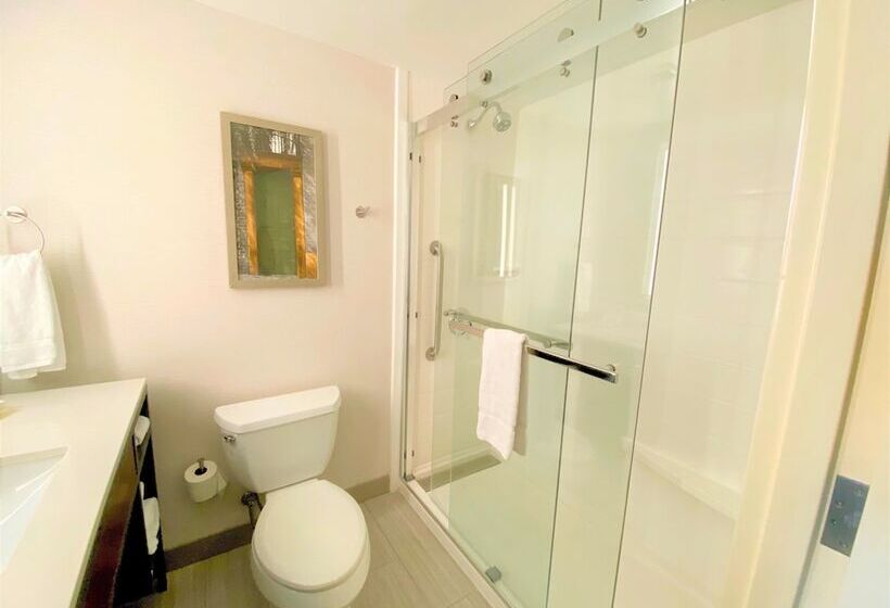 جناح جونيور, Hilton Garden Inn Houston/sugar Land