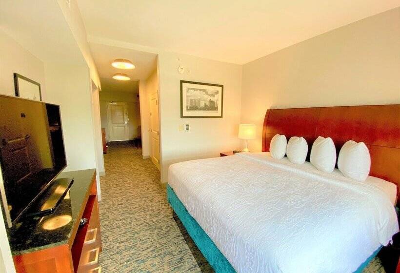 جناح جونيور, Hilton Garden Inn Houston/sugar Land