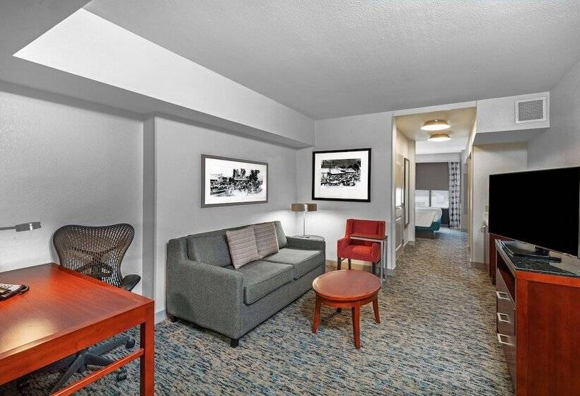 جناح جونيور, Hilton Garden Inn Houston/sugar Land