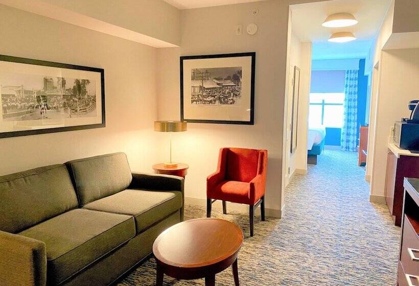 جناح جونيور, Hilton Garden Inn Houston/sugar Land