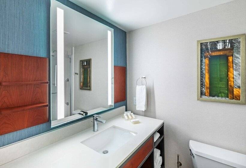 غرفة قياسية, Hilton Garden Inn Houston/sugar Land