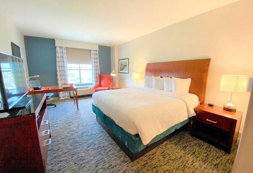 غرفة قياسية, Hilton Garden Inn Houston/sugar Land