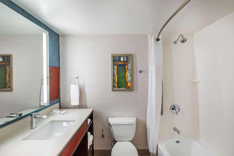 غرفة قياسية سرير كينج, Hilton Garden Inn Houston/sugar Land