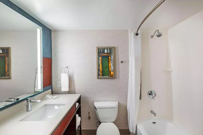 キングサイズベッドのスタンダードルーム, Hilton Garden Inn Houston/sugar Land