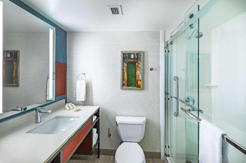 غرفة بريميوم, Hilton Garden Inn Houston/sugar Land