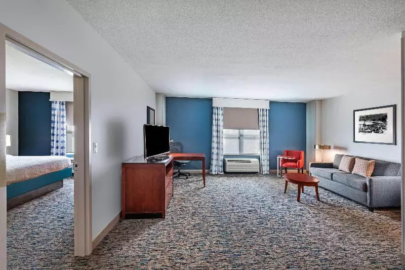 キングサイズベッドのスイートルーム, Hilton Garden Inn Houston/sugar Land