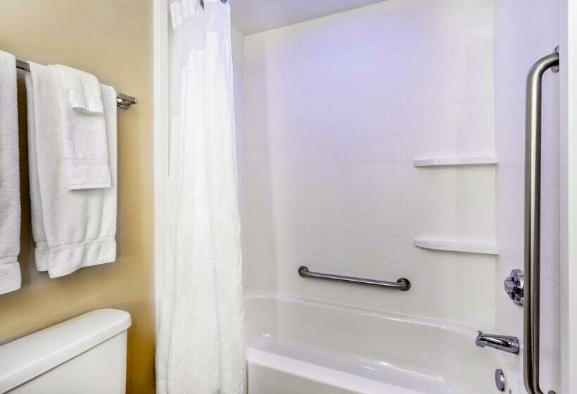 غرفة قياسية, Holiday Inn Express Silver Springs   Ocala, An Ihg