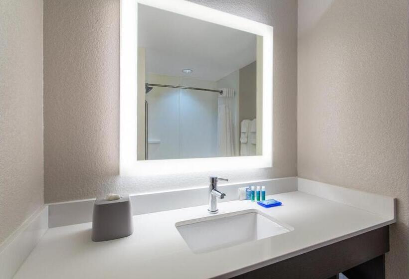 غرفة قياسية سرير كينج, Holiday Inn Express Silver Springs   Ocala, An Ihg