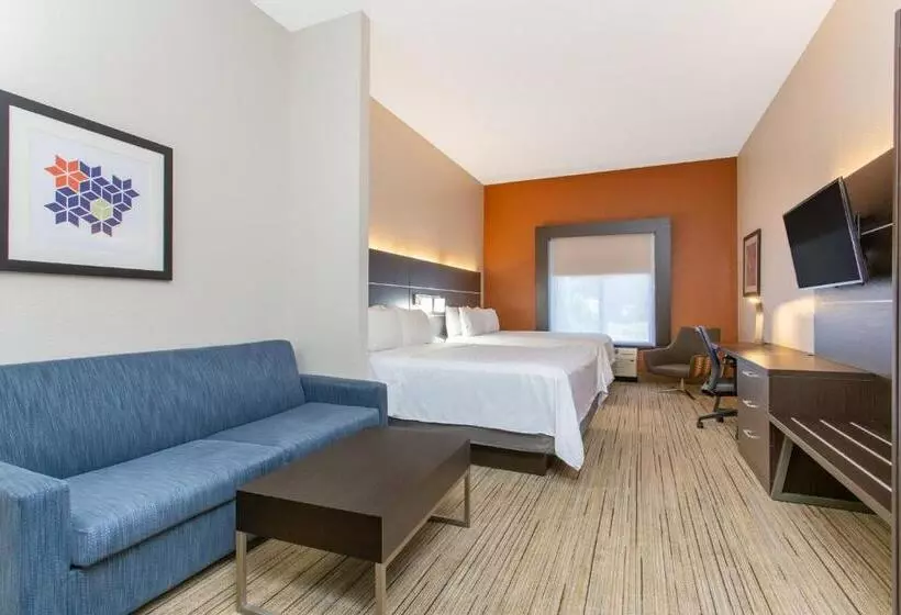 スイート, Holiday Inn Express Silver Springs Ocala, An Ihg