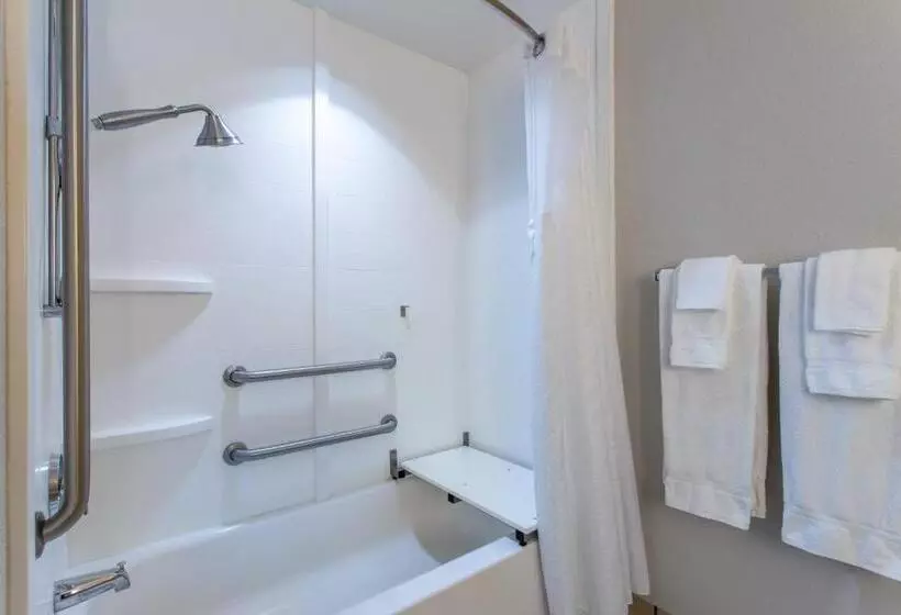 身障者適用スイートルーム, Holiday Inn Express Silver Springs Ocala, An Ihg
